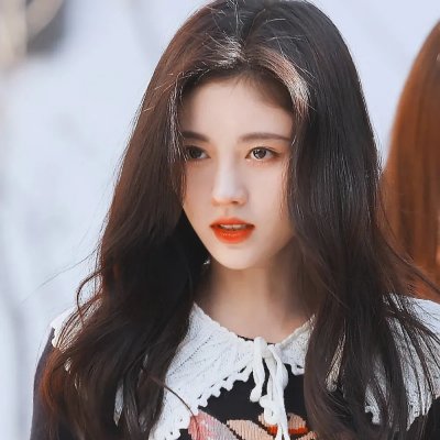 安妮·法兰克的最后七个月