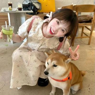 金牌贱猫：重新出击